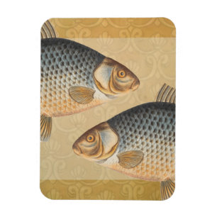 Karpfiske målning sötvatten teckning magnet
