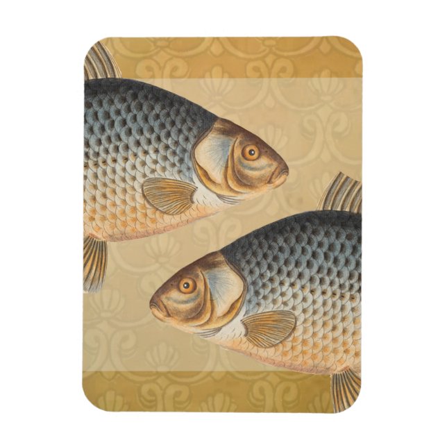 Karpfiske målning sötvatten teckning  magnet (Vertikal)