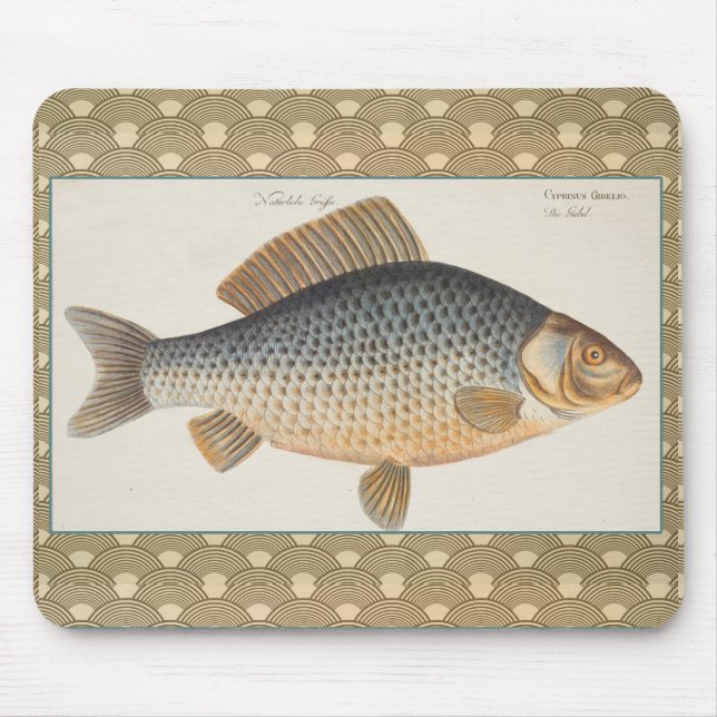 Karpfiske målning sötvatten teckning  musmatta (Framsidan)