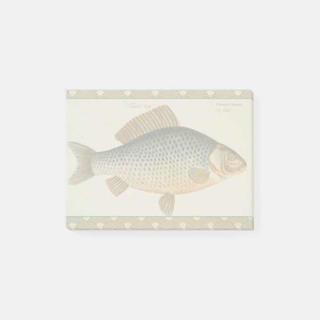 Karpfiske målning sötvatten teckning  post-it block (Framsida)