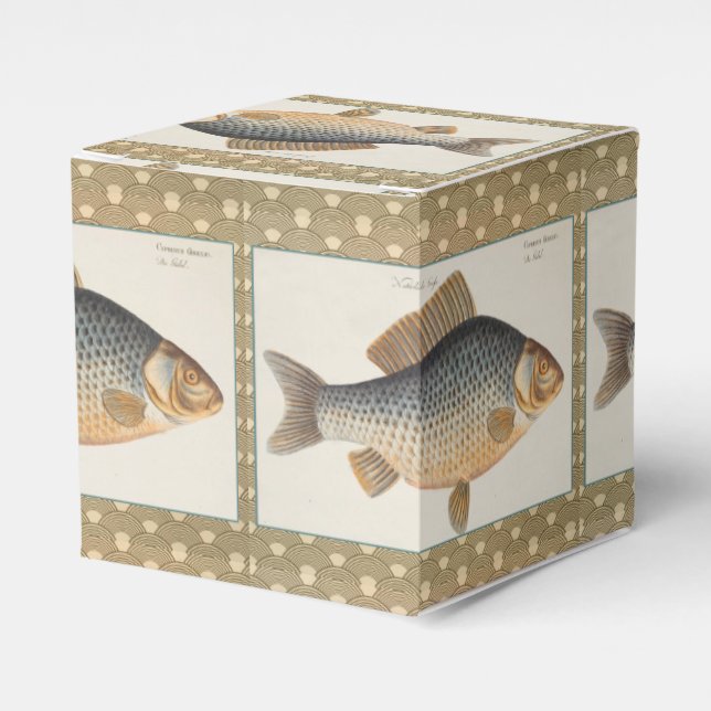Karpfiske målning sötvatten teckning  presentaskar (Framsidan Sidan)