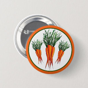 Karrots Orange Vegetable Veggie Garden Knapp