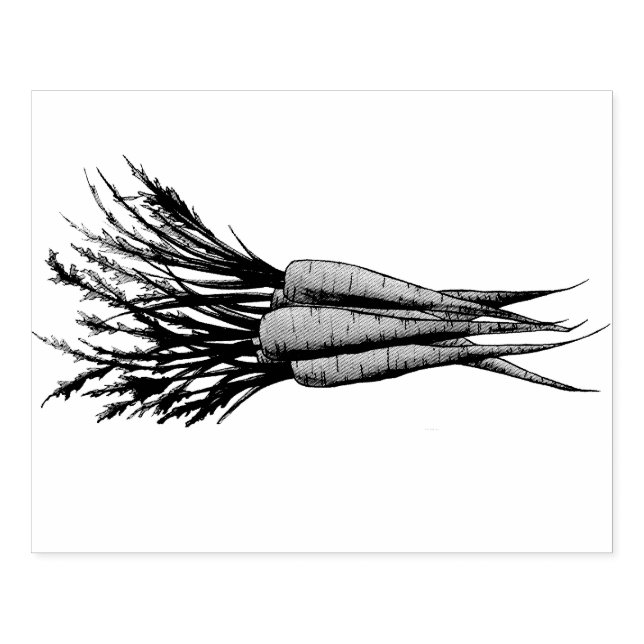 Karrots Orange Vegetable Veggie Garden Stämpel (Tryck)