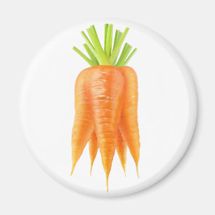 Karrotsbunt Magnet