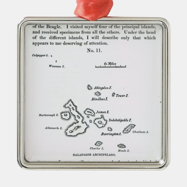 Karta av den Galapagos skärgården, 1844 Julgransprydnad Metall (Framsidan)