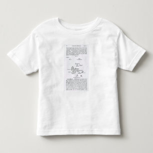 Karta av den Galapagos skärgården, 1844 Tee