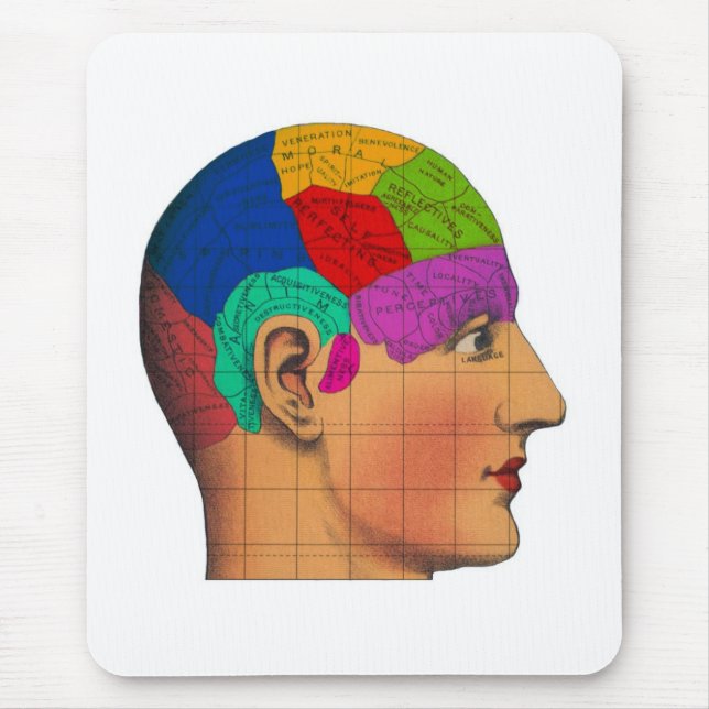 karta av fantasin musmatta (Framsidan)