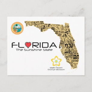 Karta av Florida med alla län som ut stavas Vykort