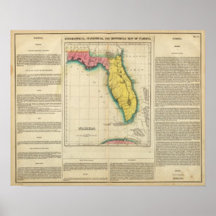Karta av Florida Poster