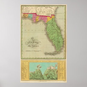 Karta av Florida Poster
