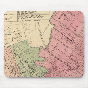 Karta av Petaluma City 1877 Musmatta