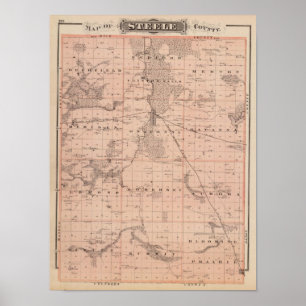 Karta av Steele County, Minnesota Poster