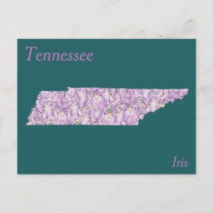 Karta för Tennessee statlig blommaCollage Vykort