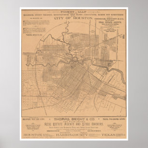 Karta för vintageHouston Texas järnväg (1890) Poster