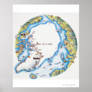 Karta i Arktis Poster