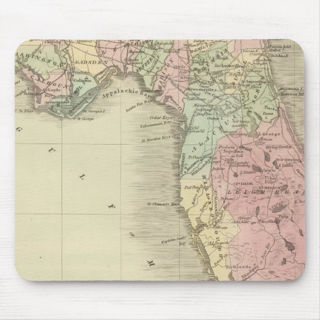 Karta i delstaten Florida Musmatta (Framsidan)