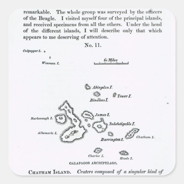 Karta i Galapagosöarna, 1844 Fyrkantigt Klistermärke (Framsida)