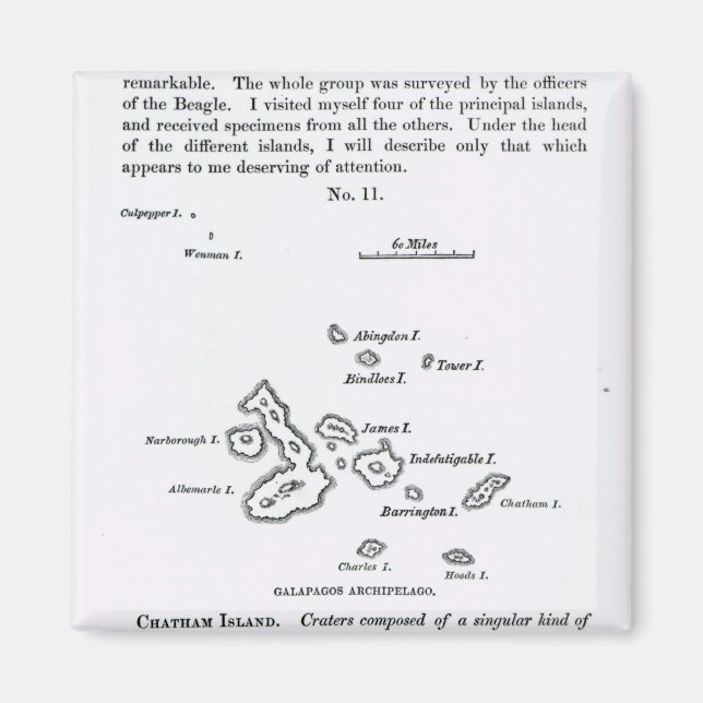 Karta i Galapagosöarna, 1844 Magnet (Framsidan)