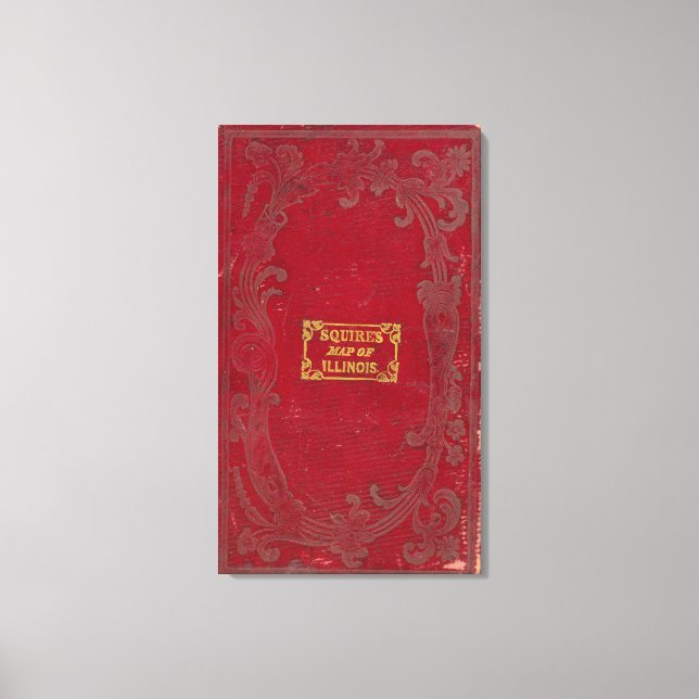 Karta i Illinois 2 Canvastryck (Framsida)