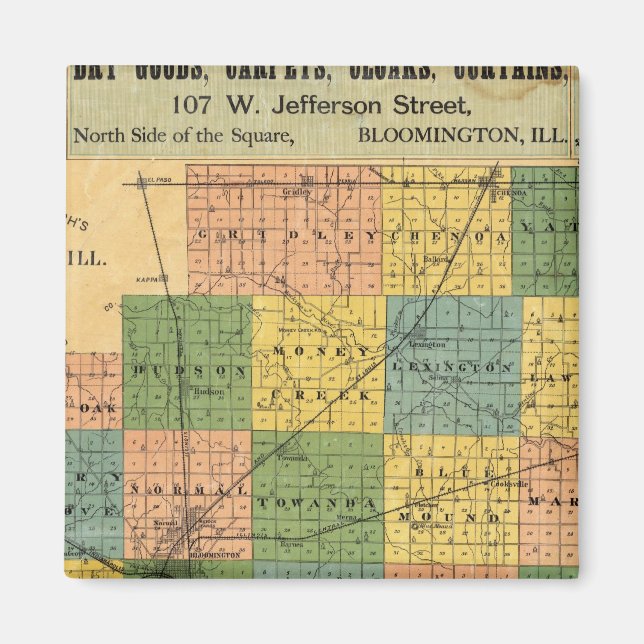 Karta i Lean County, Illinois 1886 Magnet (Framsidan)