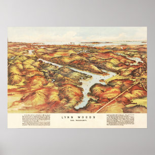 Karta i Lynn Skogen, Massachusetts 1904 Poster
