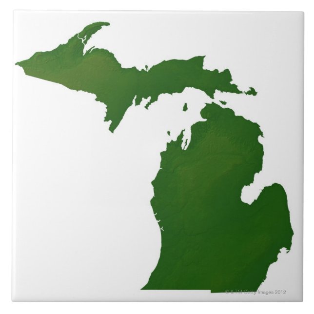 Karta i Michigan Kakelplatta (Framsidan)