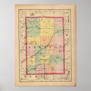 Karta i Newaygo County, Michigan Poster