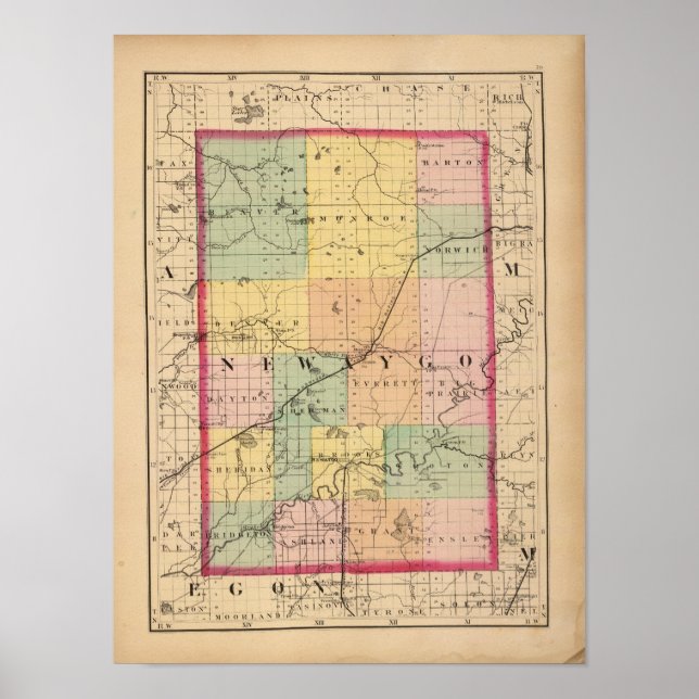 Karta i Newaygo County, Michigan Poster (Framsidan)