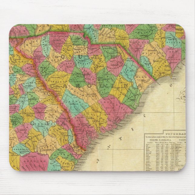Karta i North and South Carolina och Georgien Musmatta (Framsidan)