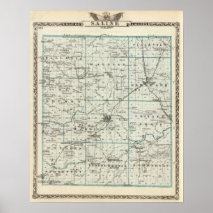 Karta i Saline County Poster