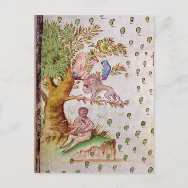 Karta i St. Lawrence Estuary Vykort (Framsida)
