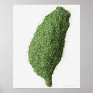 Karta i Taiwan av gräs Poster