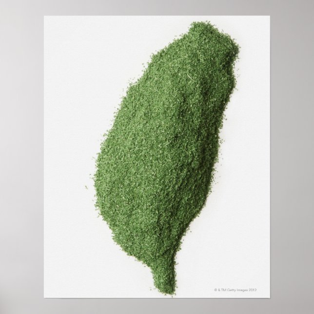 Karta i Taiwan av gräs Poster (Framsidan)