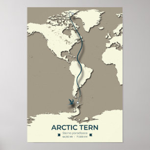 Karta - Minimalistisk Vintage för arktisk tererisk Poster