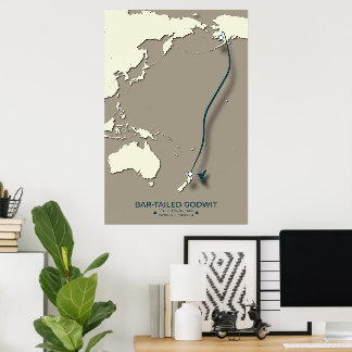 Karta - Minimalistisk Vintage för arktisk tererisk Poster