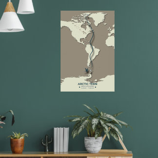 Karta - Minimalistisk Vintage för arktisk tererisk Poster
