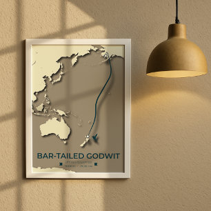 Karta - Minimalistisk Vintage för arktisk tererisk Poster