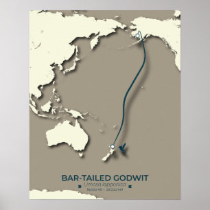 Karta - Minimalistisk Vintage för arktisk tererisk Poster