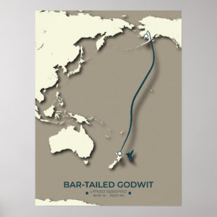 Karta - Minimalistisk Vintage för arktisk tererisk Poster