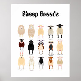 karta över fårraser poster