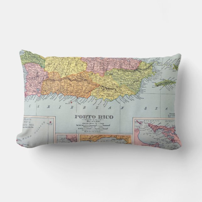 KARTA: PUERTO RICO 1900 LUMBARKUDDE (Framsida)