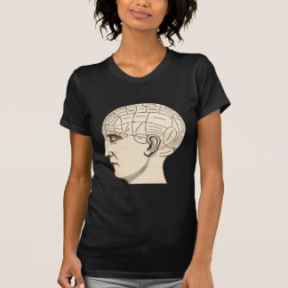 Kartan för vintageanatomihjärnan avbildar tee