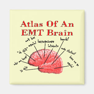 Kartbok av en EMT-hjärna Magnet
