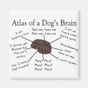 Kartbok av en hund hjärna magnet