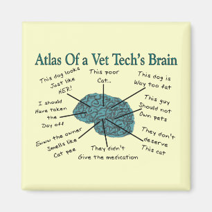 Kartbok av en Vettechs hjärna Magnet