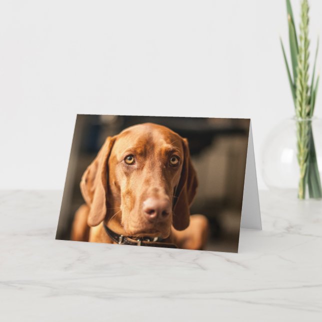 Karte mit Motiv "Magyar Vizsla" Kort (Framsida)