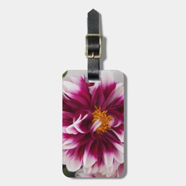 Karteuserin Bagagebricka (Vertikal Framsida)