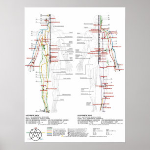 Kartlägga av människaMeridians Poster