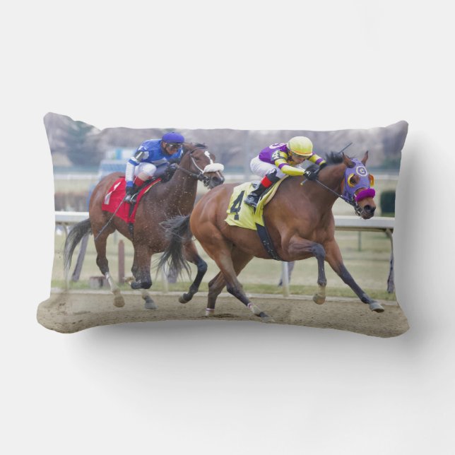 Kartong Lumbarkudde (Framsida)