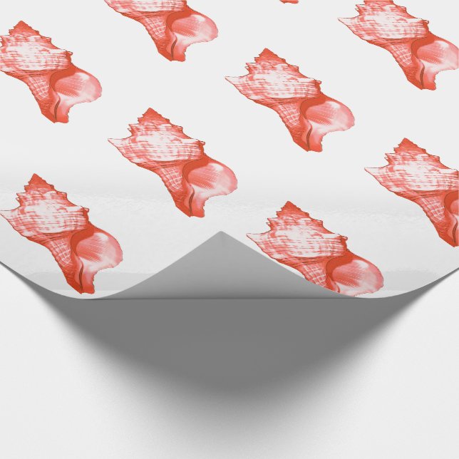 Kartskiss över snäckan - korall, snäckans rosa och presentpapper (Hörn)